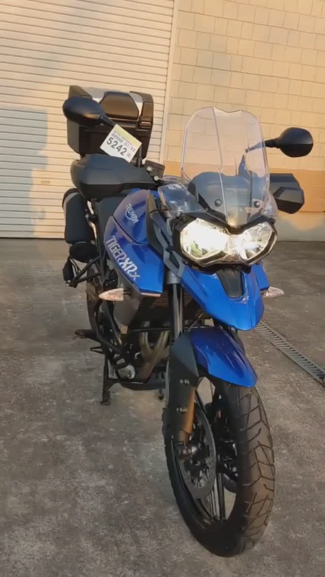 TRIUMPH Tiger800XRX (2013) Ссылка в описании #autobike