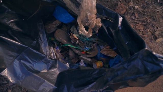 4-й субботник (Art Eco Day) в Арамболе, Гоа смотреть онлайн