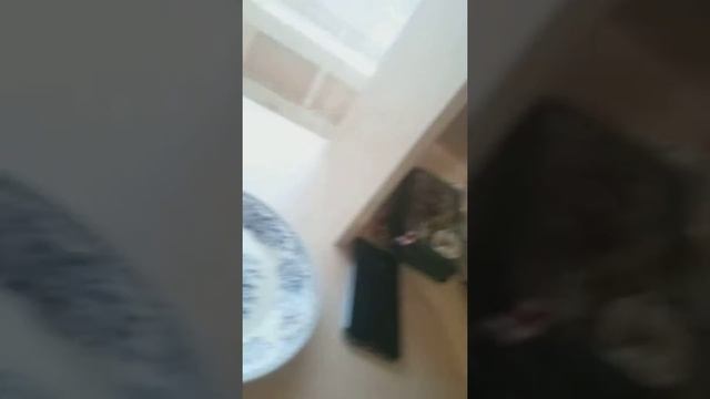 Из чего быстрее пить смотреть онлайн