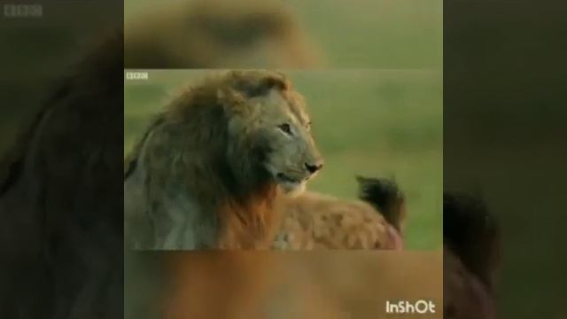 БУДЬ СИЛЬНЫМ ВЕДЬМИНА ИЗБА смотреть онлайн