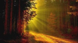 А.Малинин - Давай попробуем вернуть