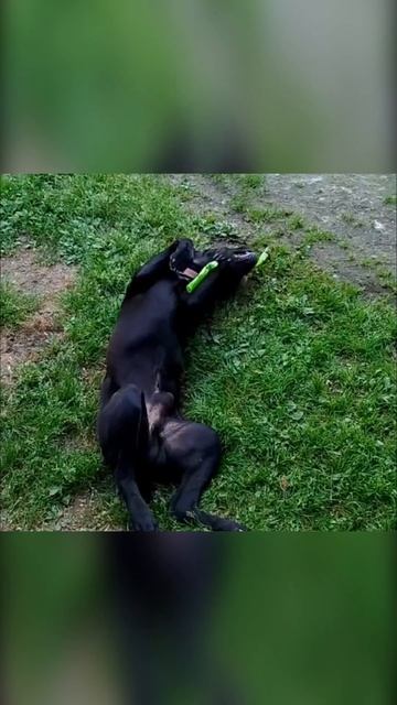 Мне на месте не сидится смотреть онлайн