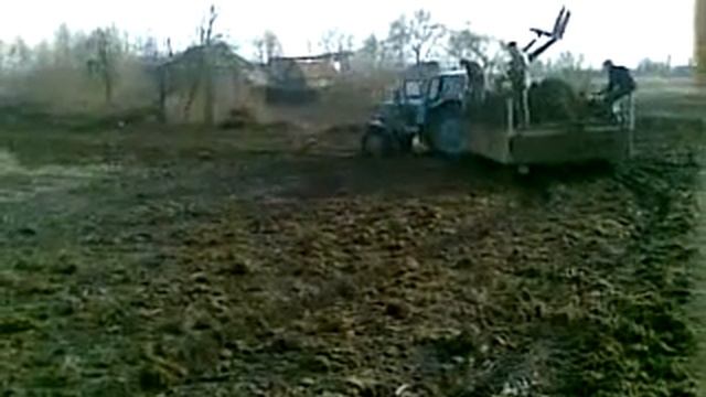 Т-40АМ вывоз навоза смотреть онлайн
