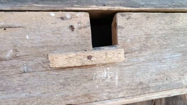 Воробьи любят многоквартирный дом смотреть онлайн