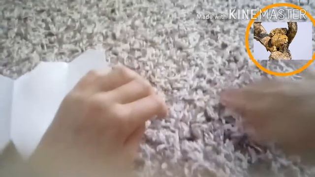 Буду делать кошелёк который вам послужит для многого!👏 смотреть онлайн