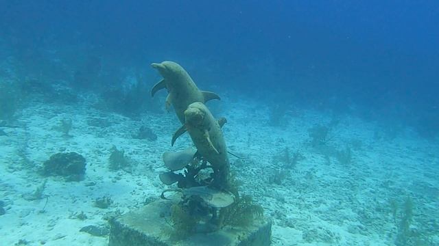 #125 Independent Backmount Doubles Diving In Cayman Brac смотреть онлайн