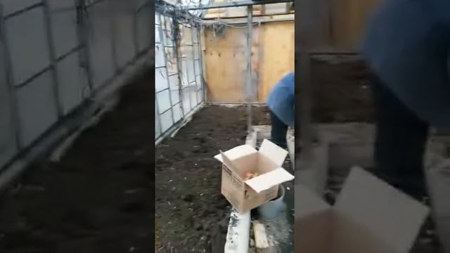 Наш сад весной. Безнен бакчамыз яз коно / Сажаем лук, шутим. смотреть онлайн