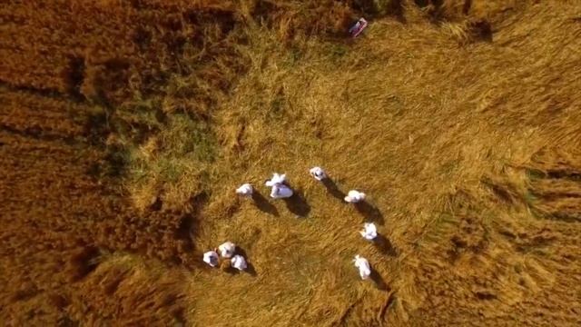 Ольга Груздева дс Золотой ключик смотреть онлайн