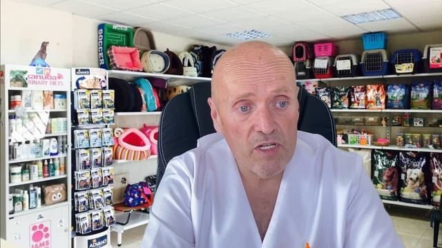 🔴 LAXANTES Naturales para PERROS con ESTREÑIMIENTO Severo 🔴 Mi perro no hace popo (caca) que le doy смотреть онлайн