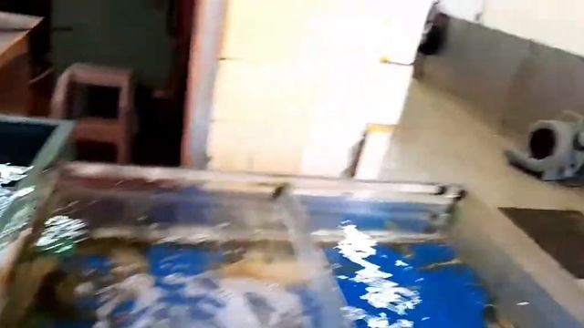 SAI KUNG SEAFOOD MARKET HONG KONG (DINADAYO)