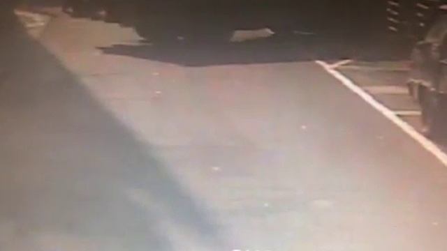 我的小白被強X смотреть онлайн