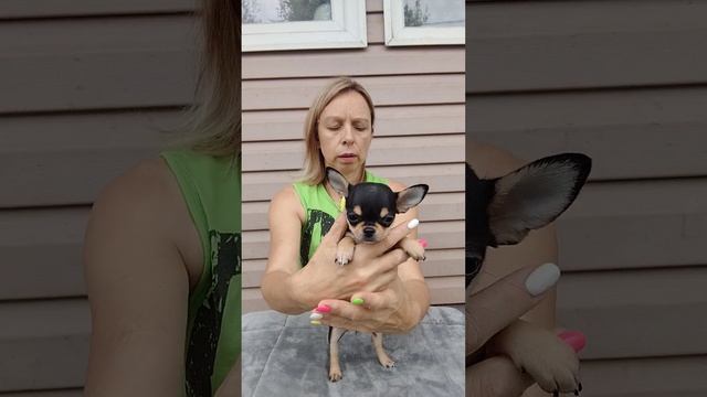 Цена здесь!! Девочка Чудо! 70 тр смотреть онлайн