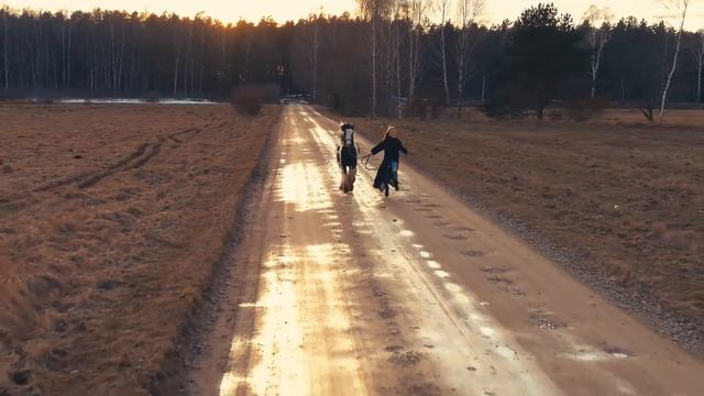 Tinker horse Queen of Hearts смотреть онлайн