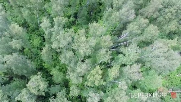 Котеджный поселок "Березки"