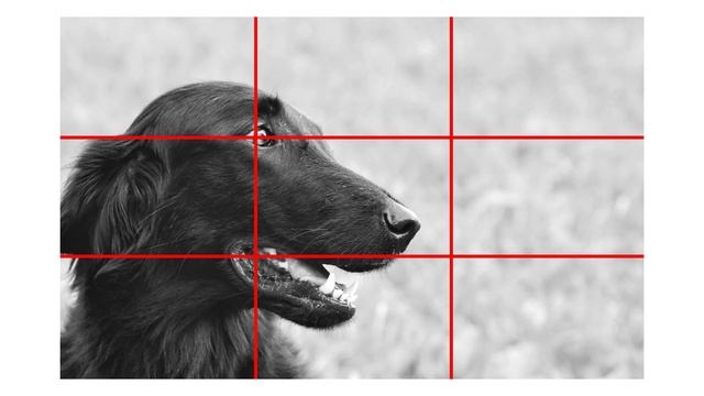 The Rule of Thirds in Art смотреть онлайн