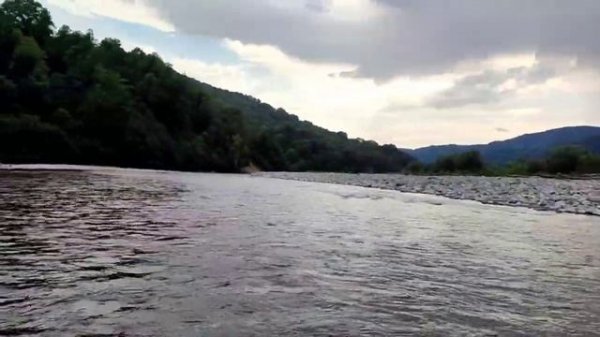 Сочи как Сочи..сплав удался..ядовитая змея..гадюка..выжившие