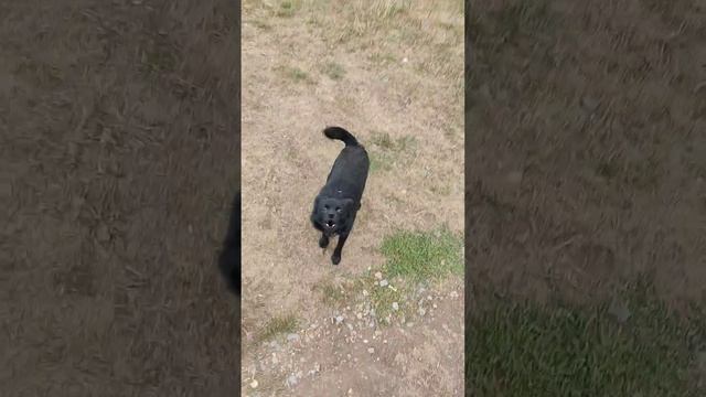 Иглинский Зверь смотреть онлайн