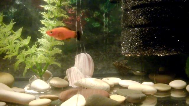 Новые соседи смотреть онлайн