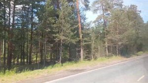 Пермь. Автобусный маршрут №49К обратно. ул. Попова — 10мкр. ПАЗ Вектор некст