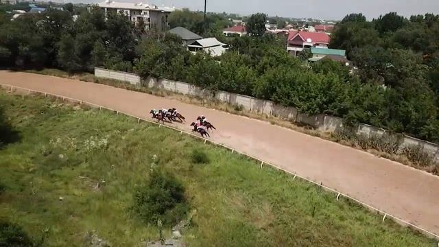 Скачки на лошадях 2-х лет чистокровной верховой породы смотреть онлайн