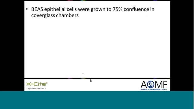 Is Pulsed LED Illumination Less Damaging to Living Cells? смотреть онлайн