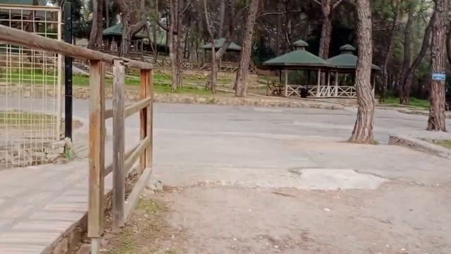 АНТАЛЬЯ. ПОПУГАЙ КРИЧИТ, ЛЕВ РЫЧИТ, ГУСИ ДЕРУТСЯ.... ВПЕРЕДИ НАША ТРЕТЬЯ ЛОКАЦИЯ!!! смотреть онлайн