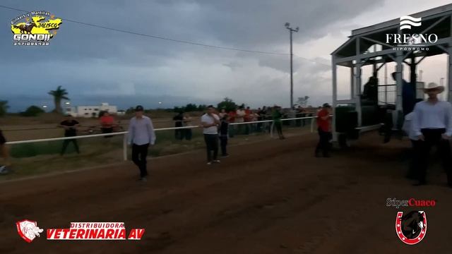 Fresno Hipódromo - EL PAYASO VS EL PELIGRO - 28 DE JULIO DE 2024 смотреть онлайн