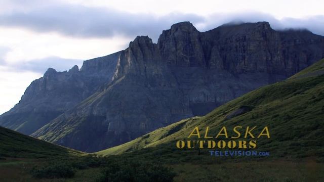 Alaska Dall Sheep Hunting смотреть онлайн