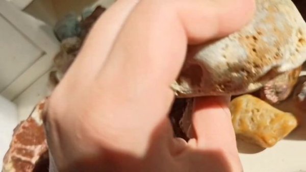 Как отличить камни: кальцит, кварц и кварцит