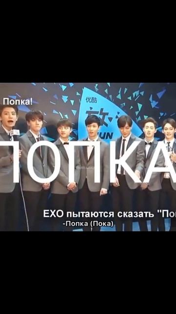 айдолы которые знают русский лучше чем корейский 💕 #айдолы #кпоп #корея #kpop #edit #korea #факты смотреть онлайн