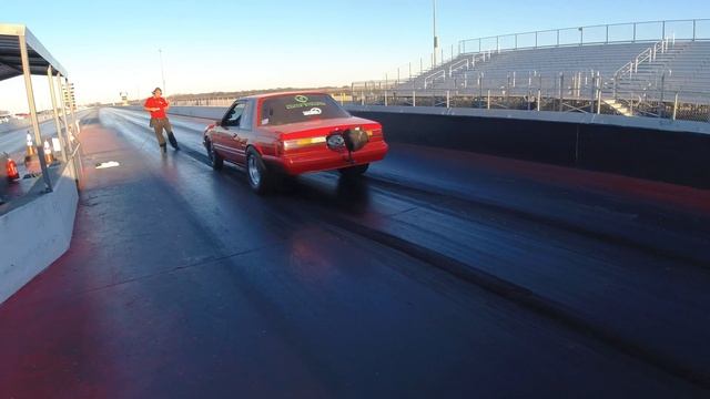 Elias Mustang