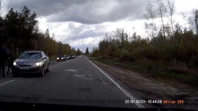 Животные на дороге смотреть онлайн