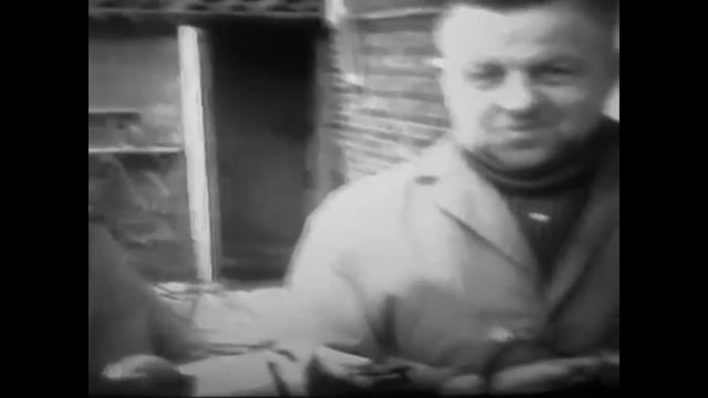 СПОРТИВНІ ГОЛУБИ. ІСТОРІЯ БРАТІВ ЯНССЕН. GOŁĘBIE POCZTOWE смотреть онлайн