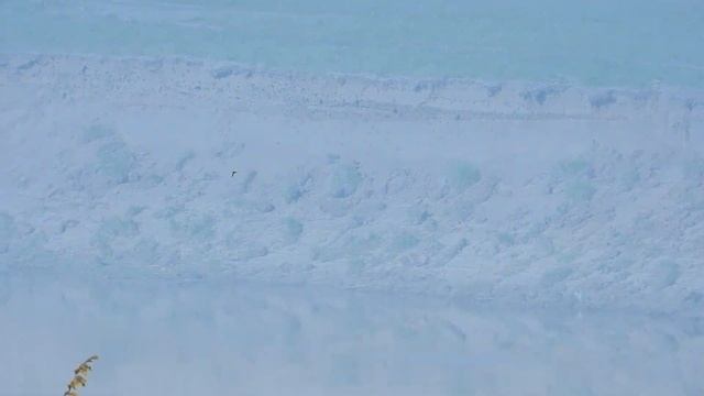 №5244 03 06 2024 Береговушки, стрижи смотреть онлайн