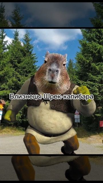 Какая ты капибара по знаку зодиака 1 часть.всех с новым годом смотреть онлайн
