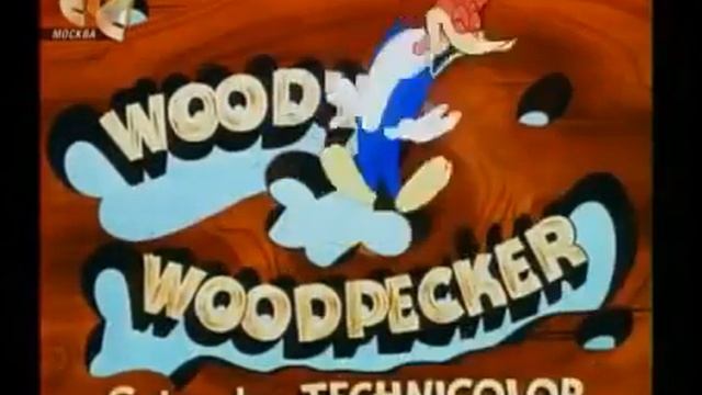 Смех вуди вудпекера