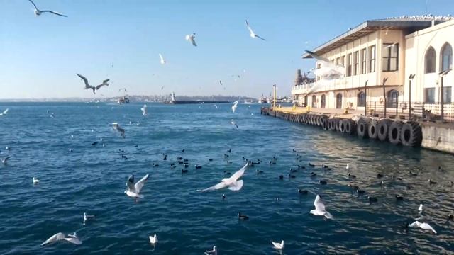 イスタンブールは美しい街でお越しの際は istanbul/turkeyСтамбул - очень красивый город, когда вы приедете смотреть онлайн