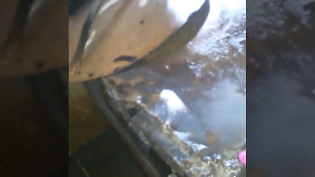 обработка тараканов3 бишкек вызов 0700665000 смотреть онлайн