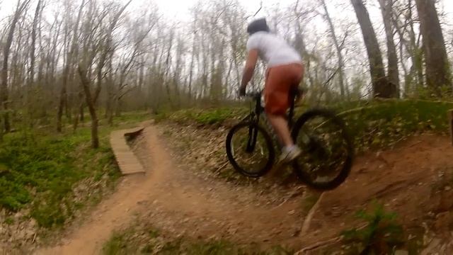 David does barrel roll L33roy Jenkins style смотреть онлайн