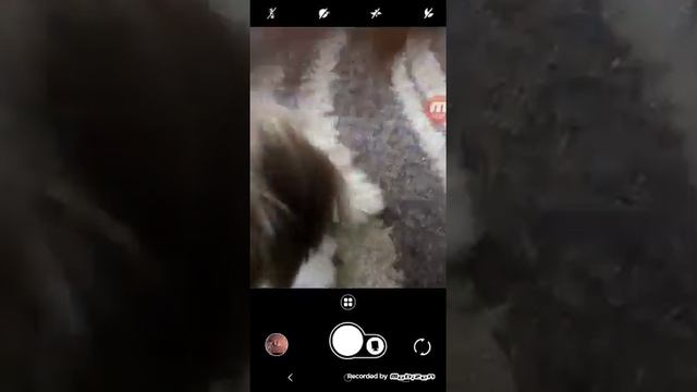 Просто стало скучно начал снимать ленивая ж*** не хочет выпускать ролики смотреть онлайн