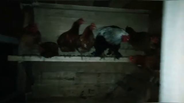 Хорошо в деревне летом смотреть онлайн