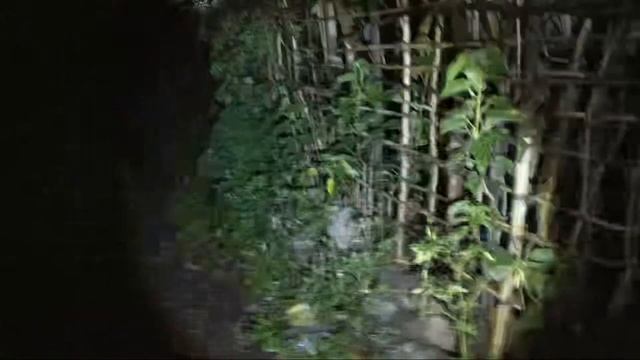 JIN IFRIT HAUS DARAH||PENCULIK BAYI смотреть онлайн