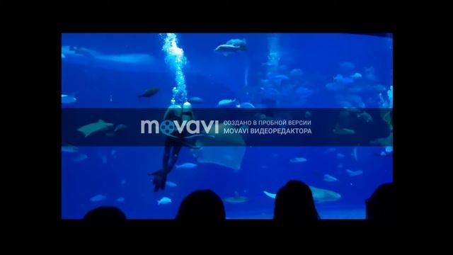 Скаты обедают смотреть онлайн