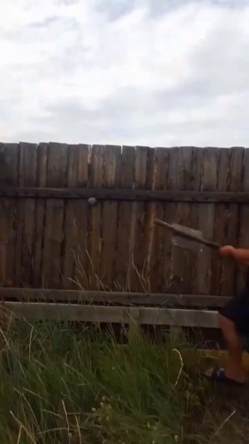 как убрать аккуратно улий с вашего участка #архив #улий #пчёлы смотреть онлайн
