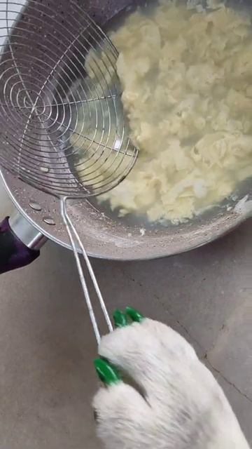 🐶Dog testing Noodles🍜from egg Experiment😁|#shorts #experiment #trending смотреть онлайн