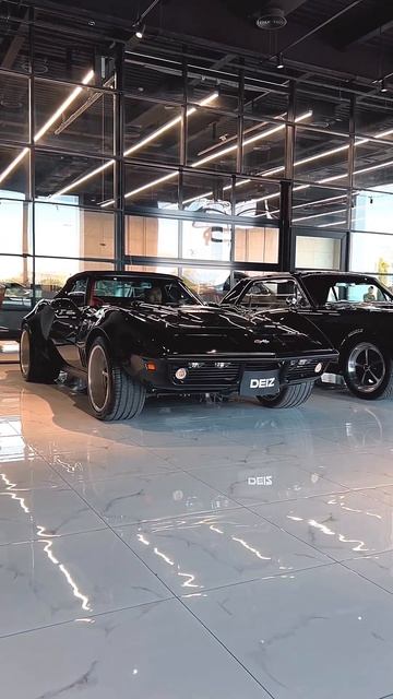 black 🖤🤩 смотреть онлайн