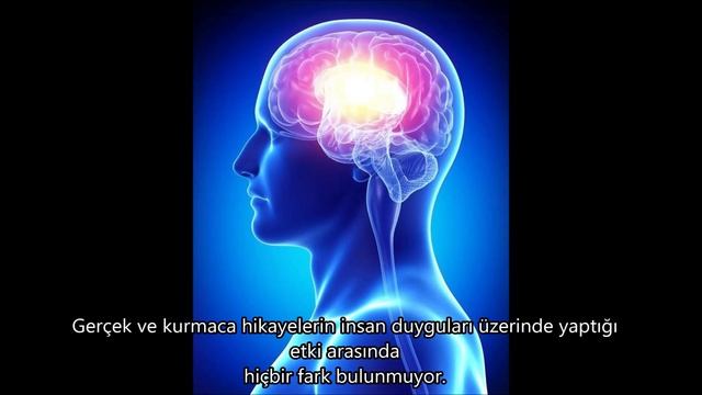 İnsanlar ve Hayvanlar hakkında 15 ilginç bilgi смотреть онлайн