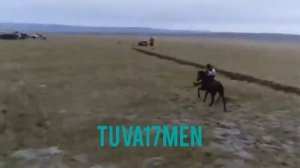 АЪТ ЧАРЫЖЫ НААДЫМ-2020