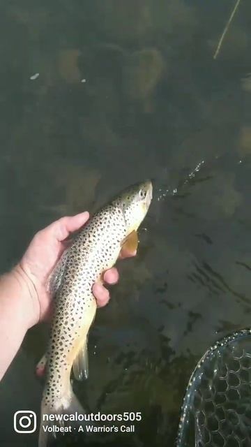 May 1, 2022 смотреть онлайн