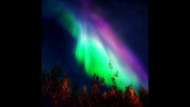 Alex Konovalov - Rush (Official Audio)